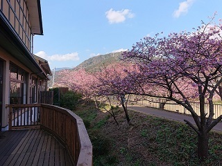 静岡県 河津町 踊り子温泉会館さん 温浴仙人 佐藤茶先生の日帰り温泉 スーパー銭湯 サウナスパ 銭湯 健康ランド スパ ぽかぽかブログ