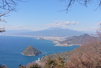 _20250129_144825.JPG